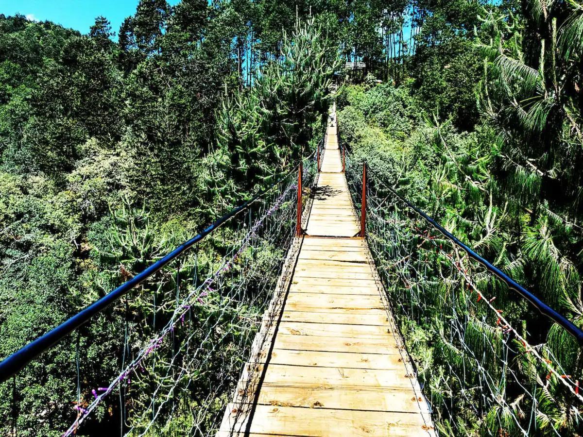 Cabana Para Pareja En El Bosque Ib Acaxochitlán Екстериор снимка